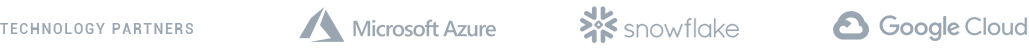 Technology Partner